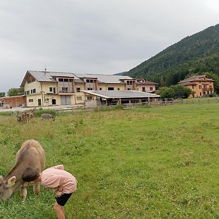 Maso Torbiera- Rural And Mountain Lodging Fiavè エクステリア 写真