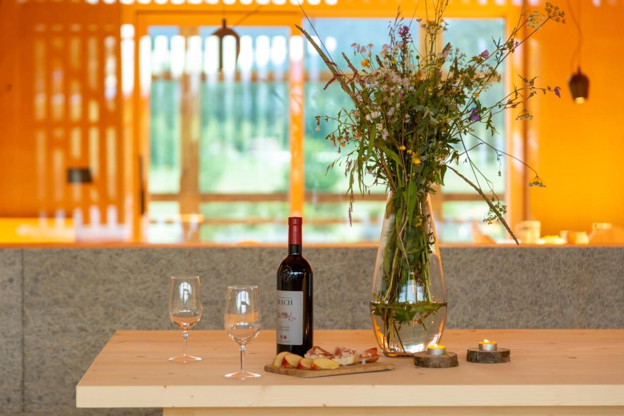 Maso Torbiera- Rural And Mountain Lodging Fiavè エクステリア 写真
