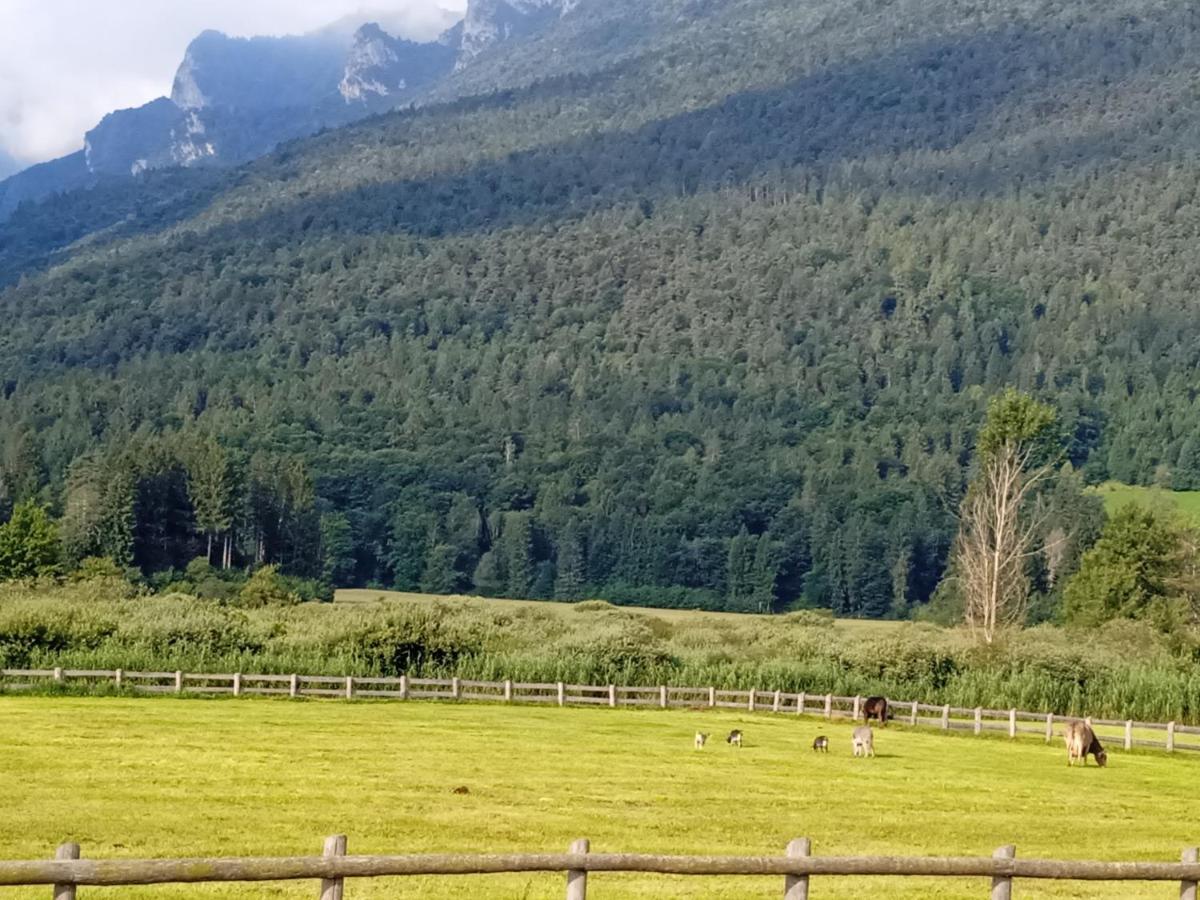 Maso Torbiera- Rural And Mountain Lodging Fiavè エクステリア 写真