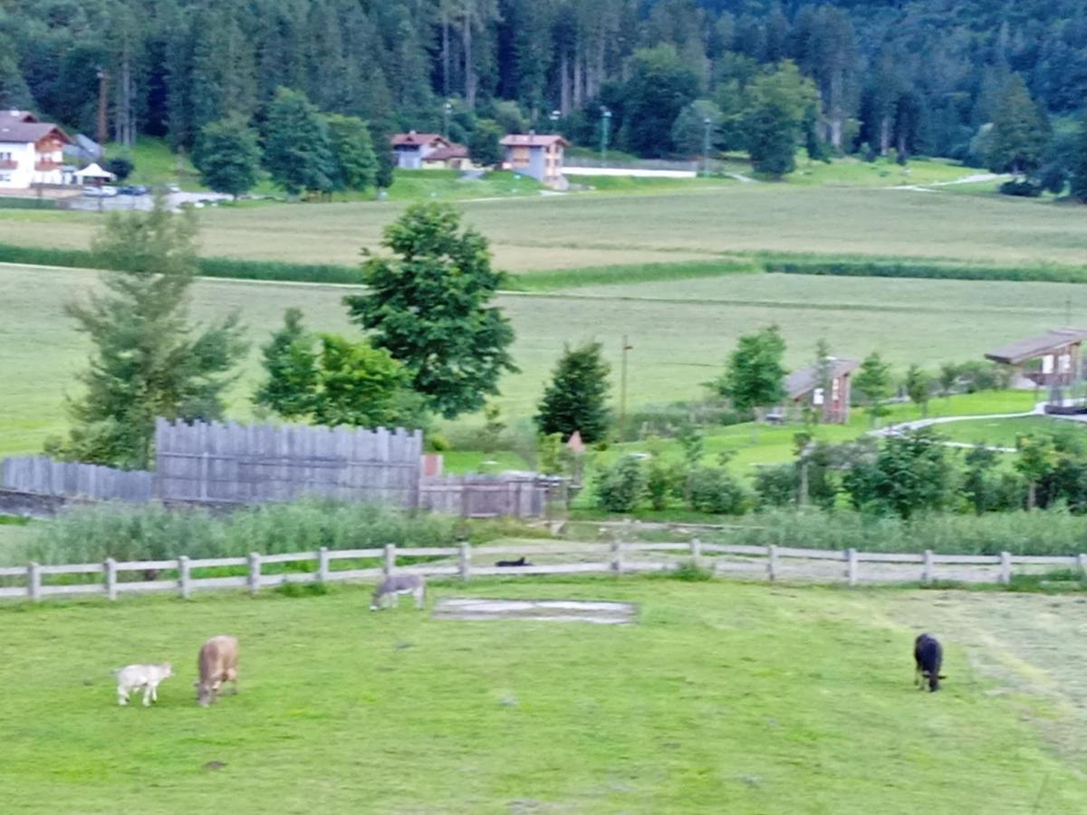 Maso Torbiera- Rural And Mountain Lodging Fiavè エクステリア 写真