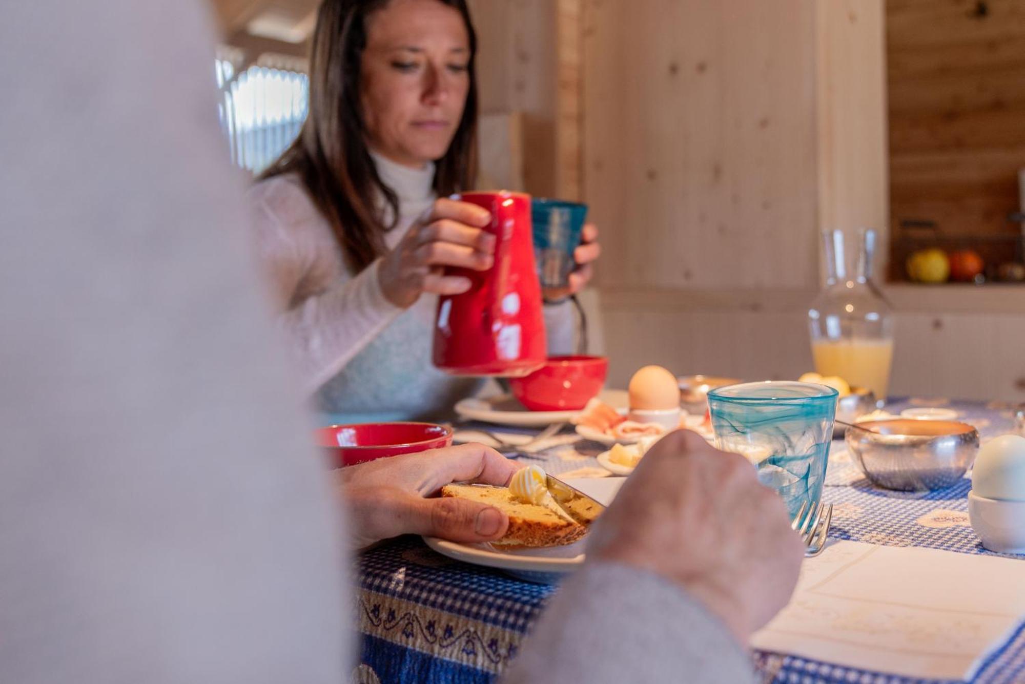 Maso Torbiera- Rural And Mountain Lodging Fiavè エクステリア 写真