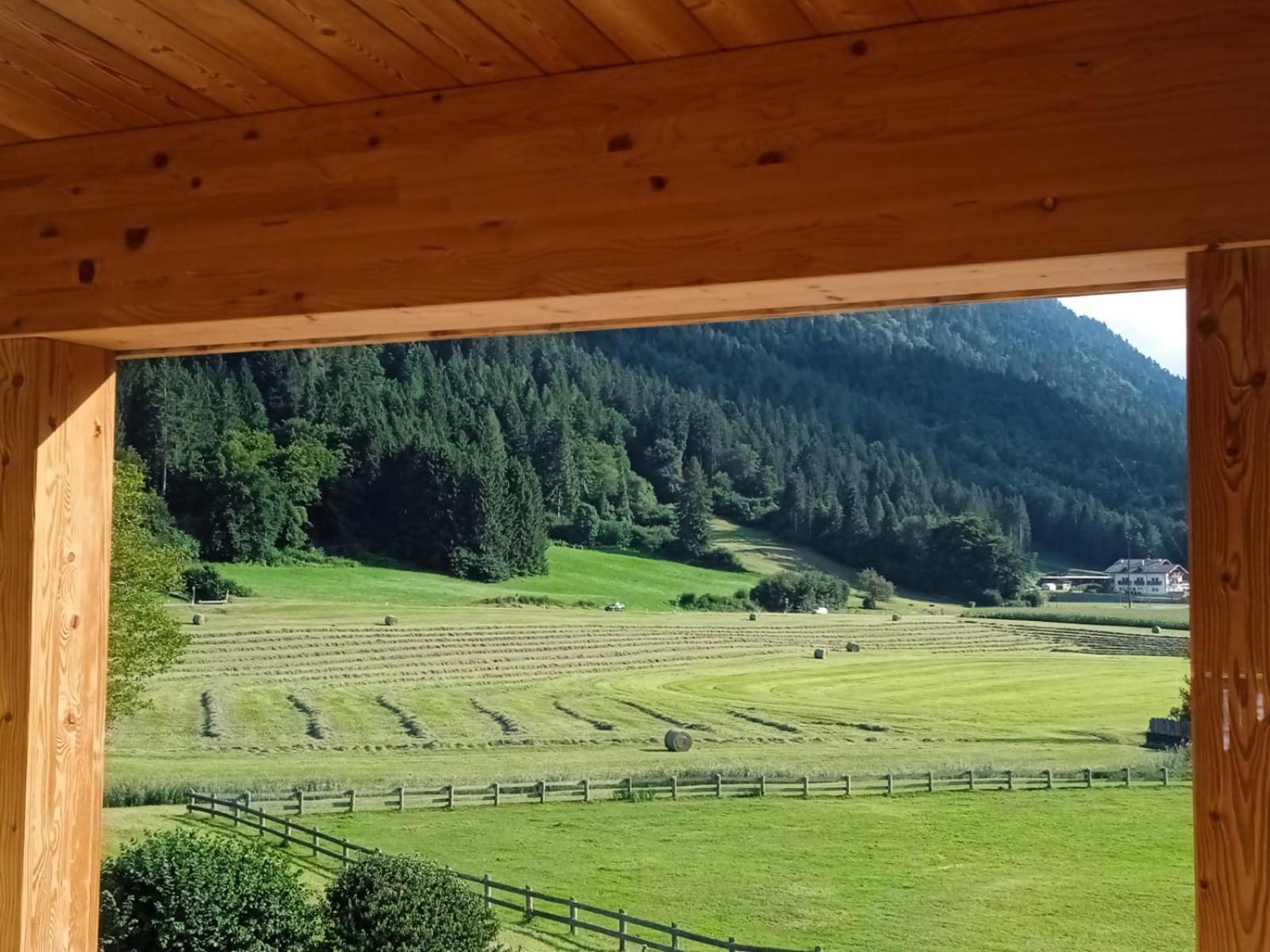 Maso Torbiera- Rural And Mountain Lodging Fiavè エクステリア 写真