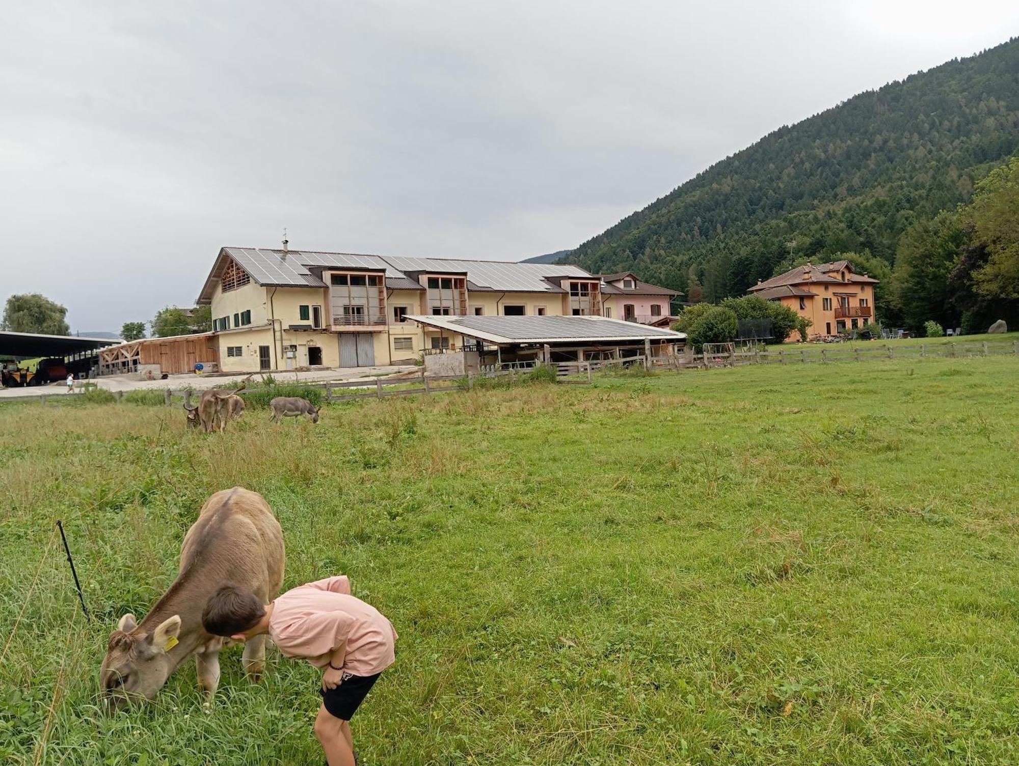 Maso Torbiera- Rural And Mountain Lodging Fiavè エクステリア 写真