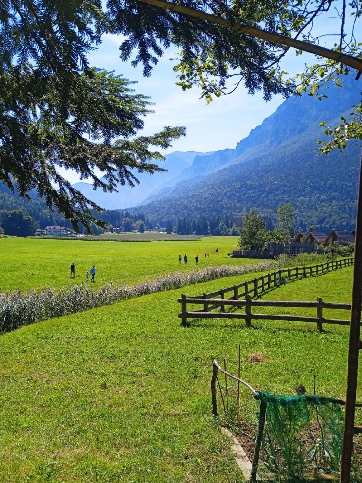 Maso Torbiera- Rural And Mountain Lodging Fiavè エクステリア 写真
